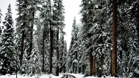 2026/2027 US Winter Forecast: What a Very Strong El Niño Means