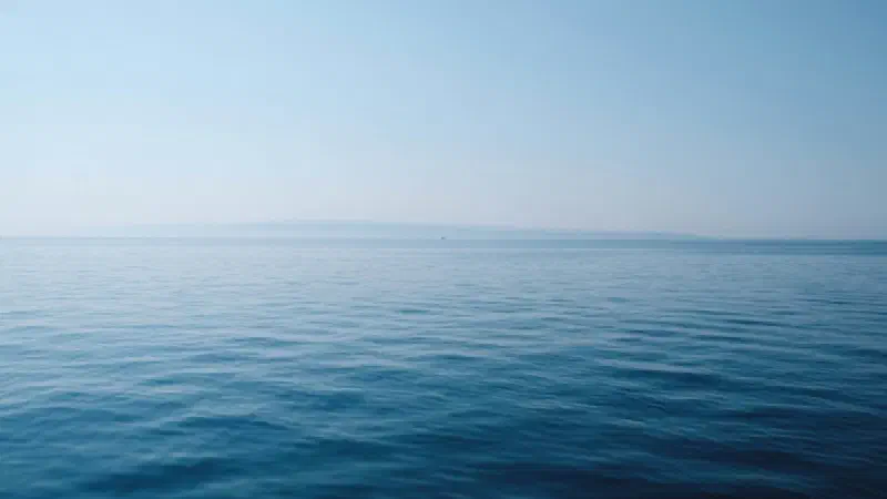 Books to Read After Christopher Nolan's The Odyssey