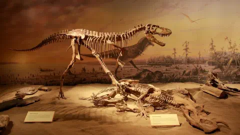 Palworld 1.0 Ancient Bone Guide: Location, Farming, Uses & Respawn