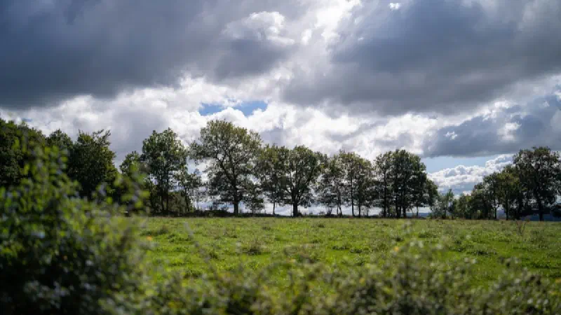 UK Heat Wave Predictions: What the Met Office Forecast Says for Late 2026