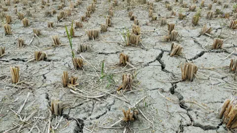 When Does the UK Heatwave End? It Already Has for Most of England